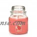 Yankee Candle Large 2-Wick Tumbler Scented Candle, Strawberry Lemon Ice   565656966